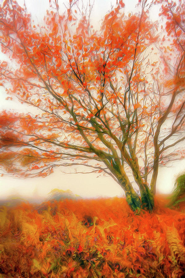 Brilliant Orange Autumn Fall Colors Tree AP Painting by Dan Carmichael