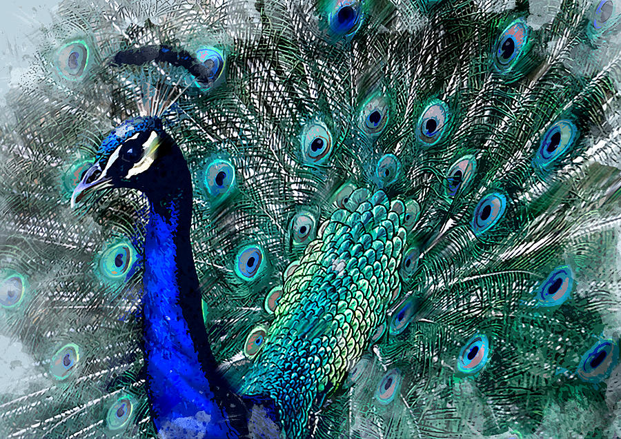 Buy Peacock Painting Peacock Art Blue Peacock Painting Large Online in  India - Etsy