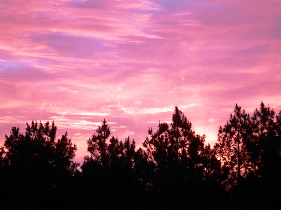 Brilliant Pink Morning Georgia Sky Photograph by Belinda Lee
