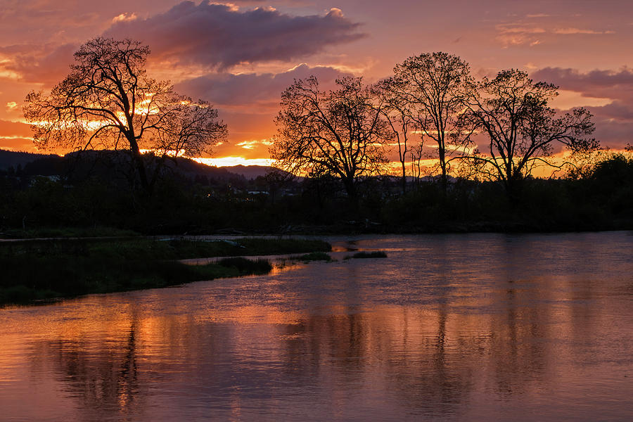 Brilliant Sunset Photograph by Inge Riis McDonald
