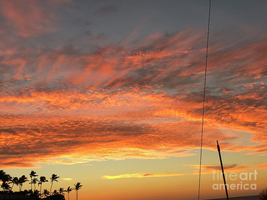 Brilliant Sunset Photograph by Karen Nicholson