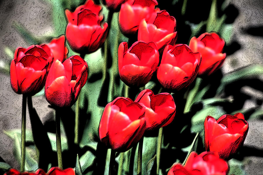 Brilliant Tulips DP22 Photograph by Mary Gaines
