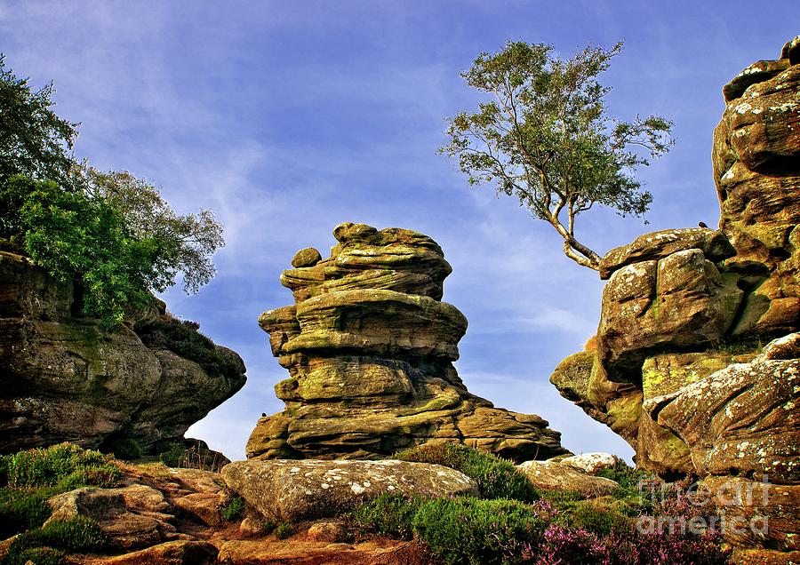 Brimham Rocks Yorkshire Photograph by Martyn Arnold