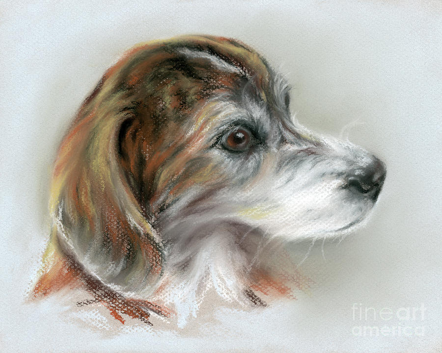 Brindle Beagle Mix Portrait Pastel by MM Anderson
