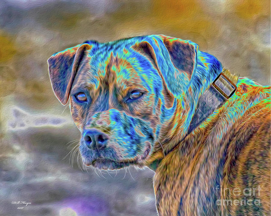 Bulldog  Digital Art by DB Hayes