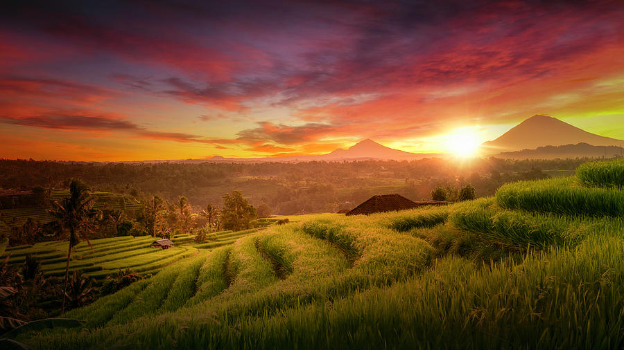 Sunrise Photograph - Bring Me To Life by Kumar Annamalai Sunrise Photograph - Bring Me To Life by Kumar Annamalai