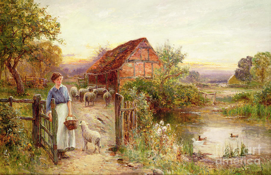 Duck Painting - Bringing Home the Sheep by Ernest Walbourn