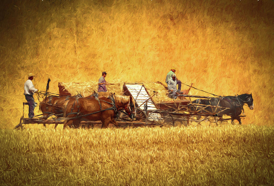 Bringing in the Sheaves Photograph by Theresa Peterson Fine Art America