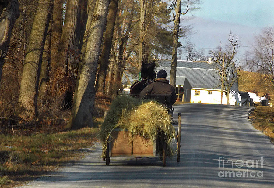 Brining Home The Hay Photograph by Skip Willits