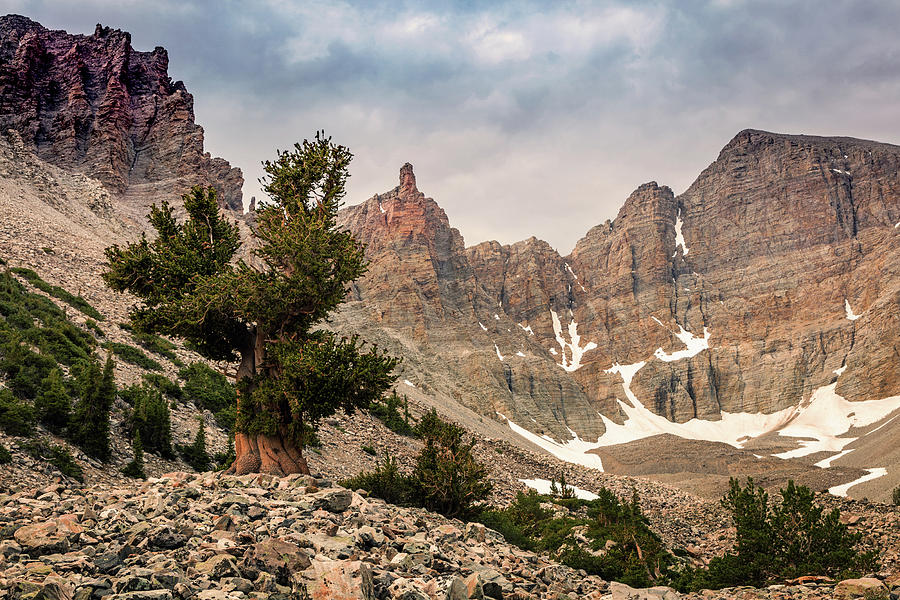 Great Basin National Park Photograph - Bristlecone Cirque by Wasatch Light