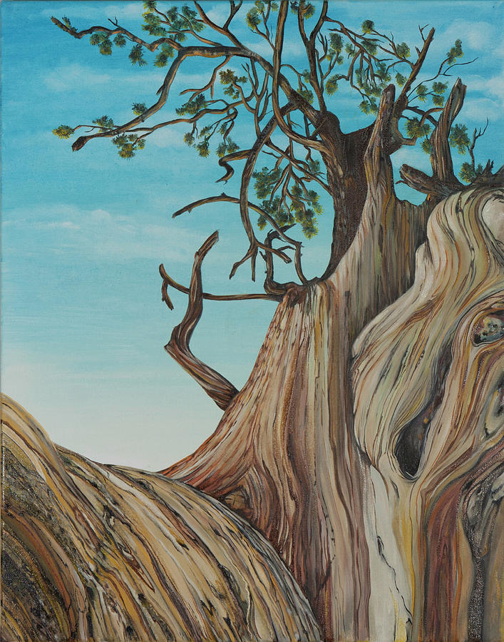 Tree Painting - Bristlecone Pine 2 by Alexandra Kube