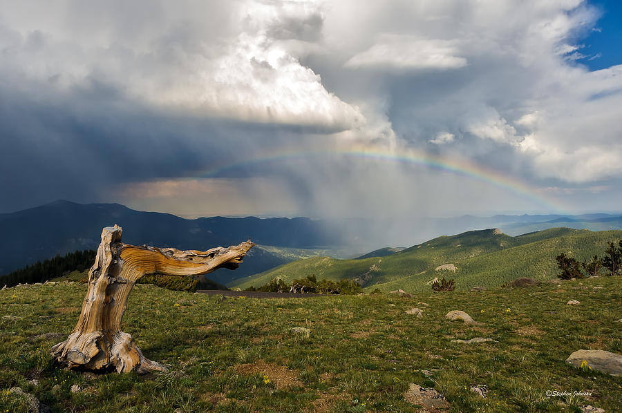 Landscape Photograph - Bristlecone Pine Pointing to the Pot of Gold at the End of the Rainbow by Stephen Johnson
