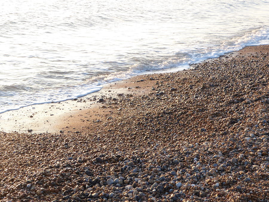 Bristol beach pebbles Photograph by Margaret Brooks
