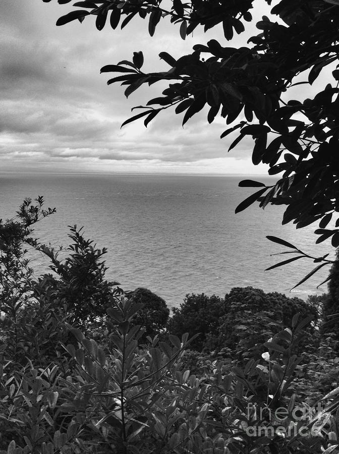 Bristol Channel View in Black and White Photograph by Joan-Violet Stretch