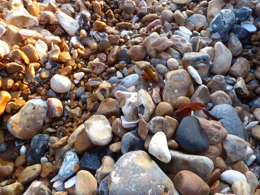 Bristol pebbles Photograph by Margaret Brooks