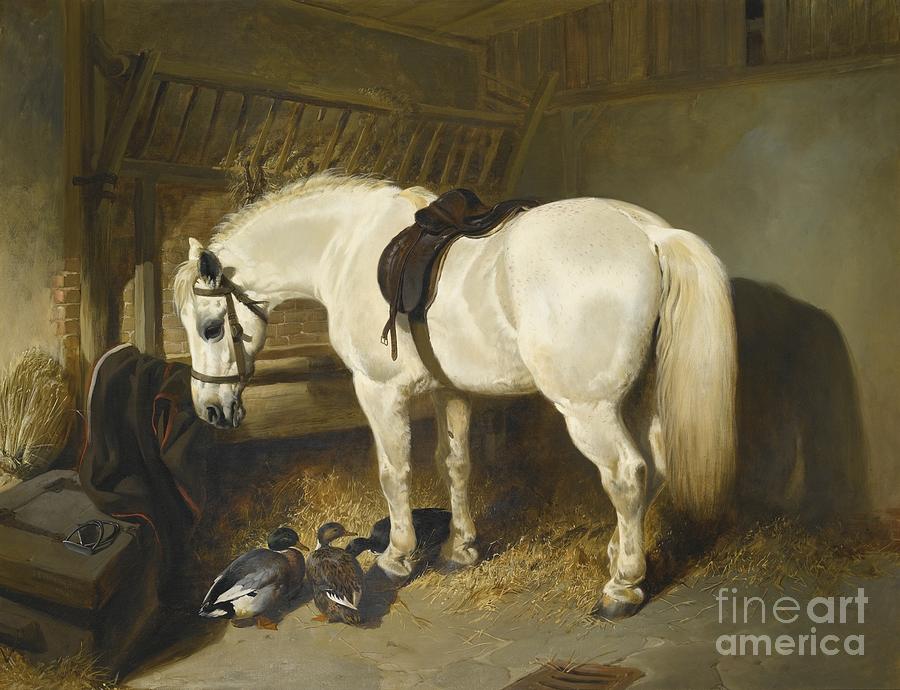 Horse Painting - British A Grey Pony In A Stable With Ducks by MotionAge Designs
