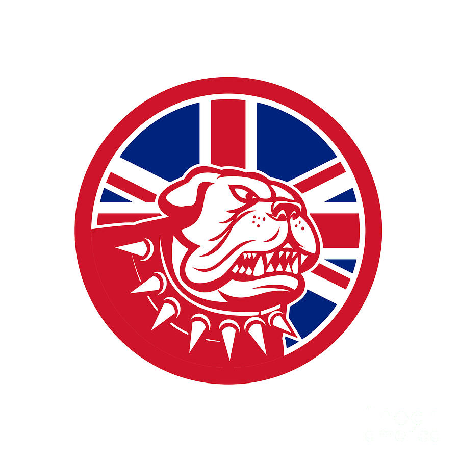 English Bulldog Digital Art - British Bulldog Head Union Jack Flag Icon  by Aloysius Patrimonio
