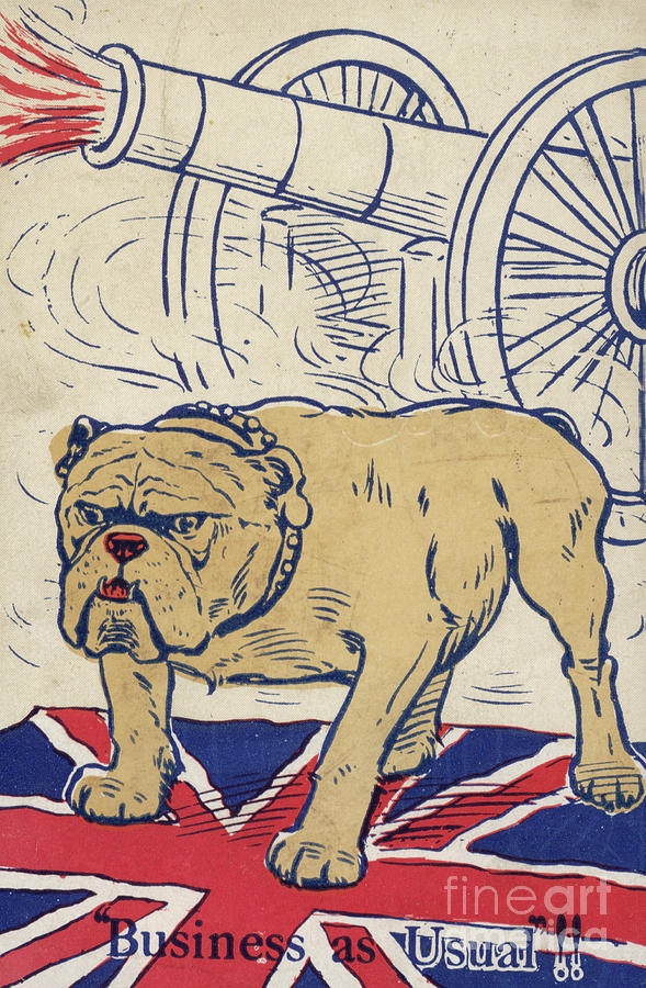 British bulldog stading on the union flag and with a cannon firing Drawing by English School