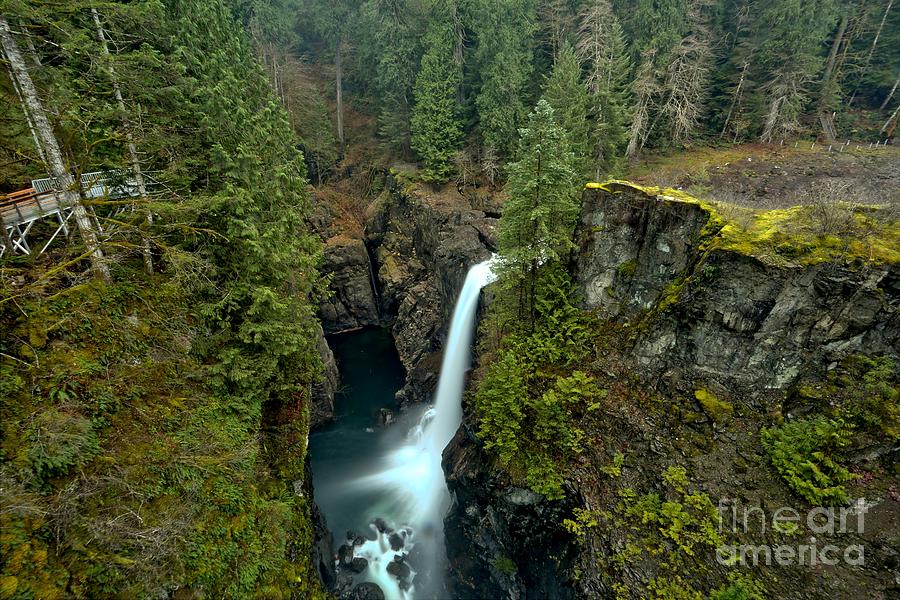 British Columbia Rain Forest Waterfall Photograph by Adam Jewell