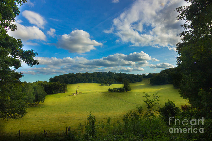 British countryside by Fabrizio Malisan British countryside by Fabrizio Malisan
