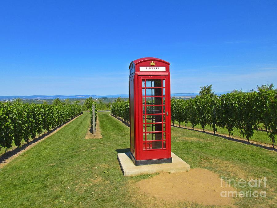 Wine Photograph - British Phone Box in Vineyard by John Malone