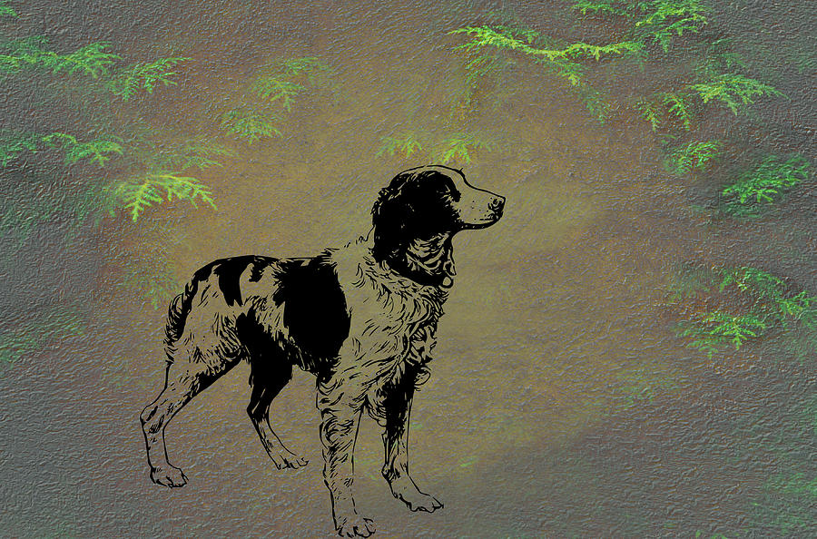 Brittany Spaniel Mixed Media by Movie Poster Prints
