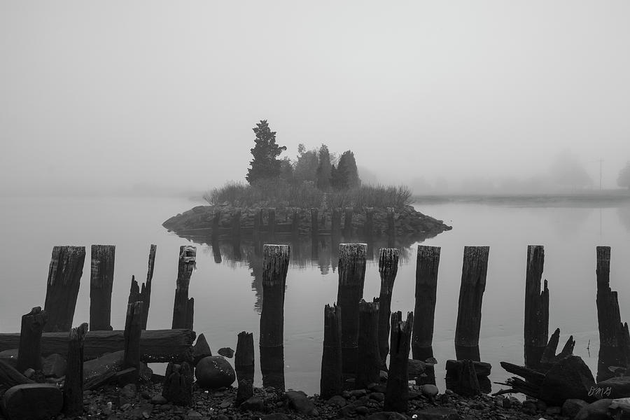 Black And White Photograph - Broad Cove Inlet II BW by David Gordon