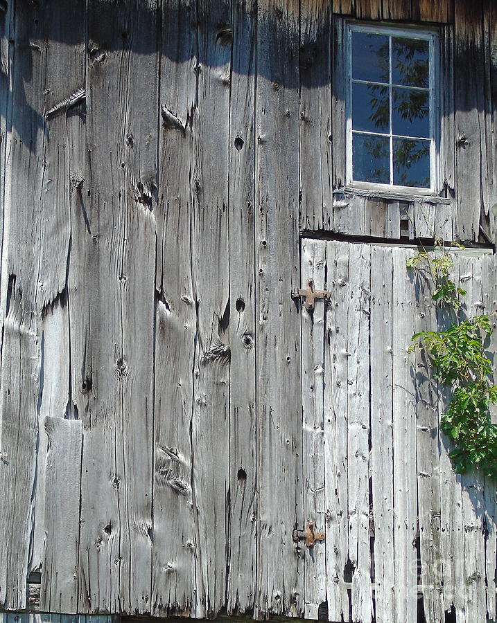 Broad Side of a Barn Photograph by Susan Lafleur