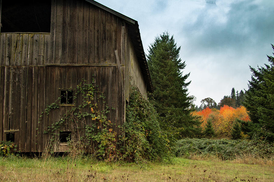 Broad Side of the Barn Photograph by Jean Noren