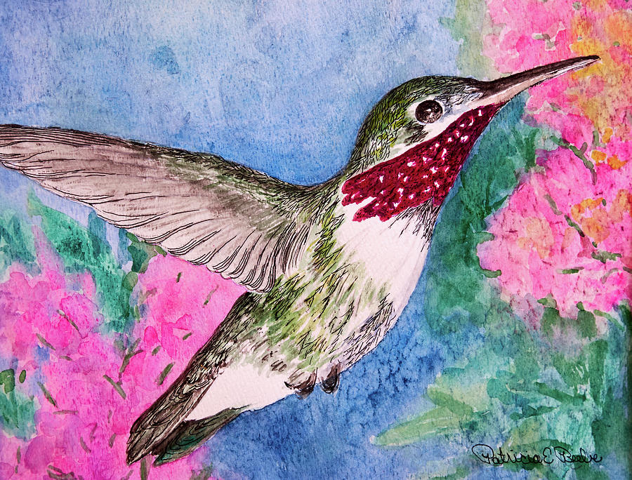 Broad-tailed Hummer Painting by Patricia Beebe