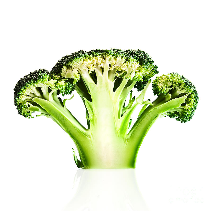 Broccoli cutaway on white Photograph by Johan Swanepoel