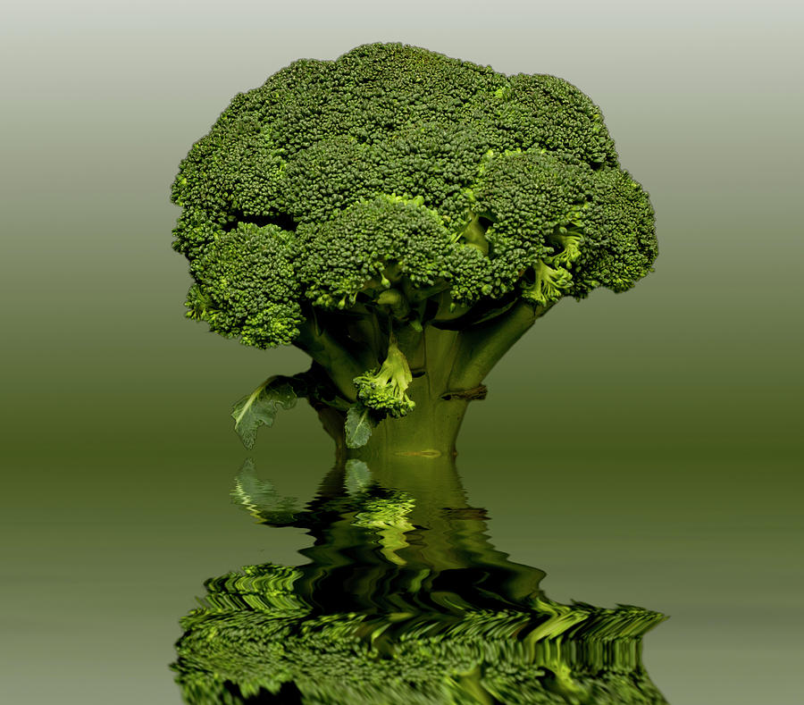 Broccoli Green Veg Photograph by David French