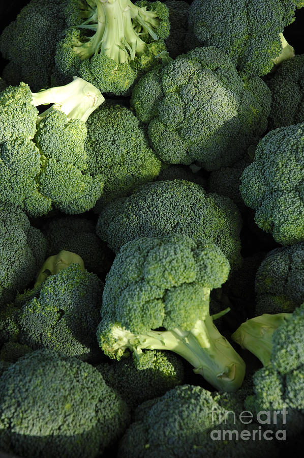 Broccoli in the perfect light Photograph by Micah May