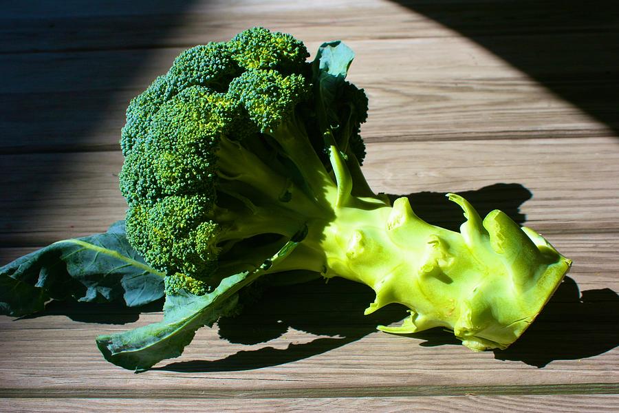 Broccoli in the Suun Photograph by Polly Castor