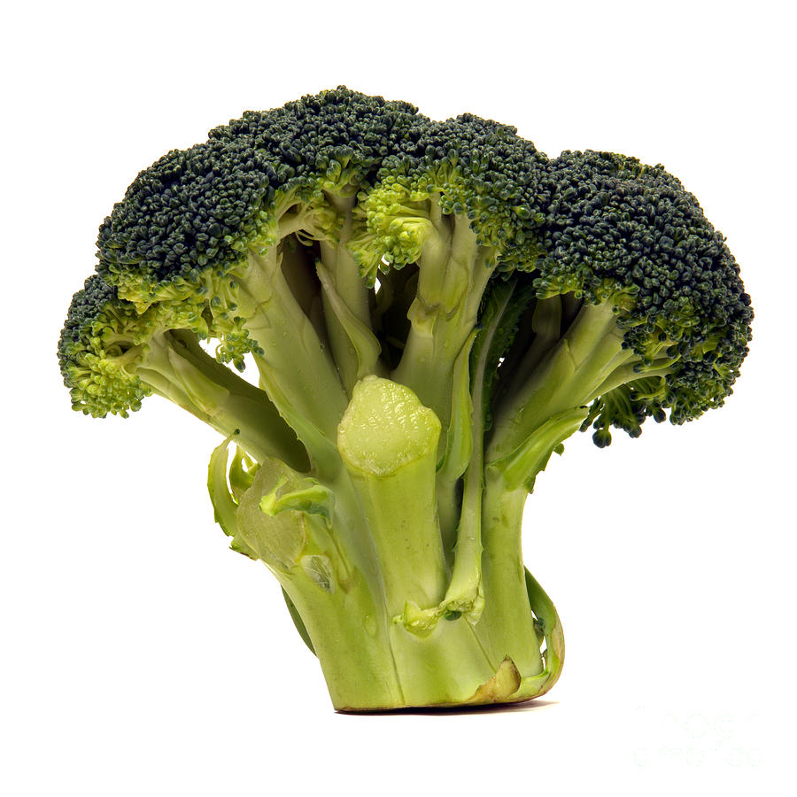 Broccoli  Photograph by Olivier Le Queinec