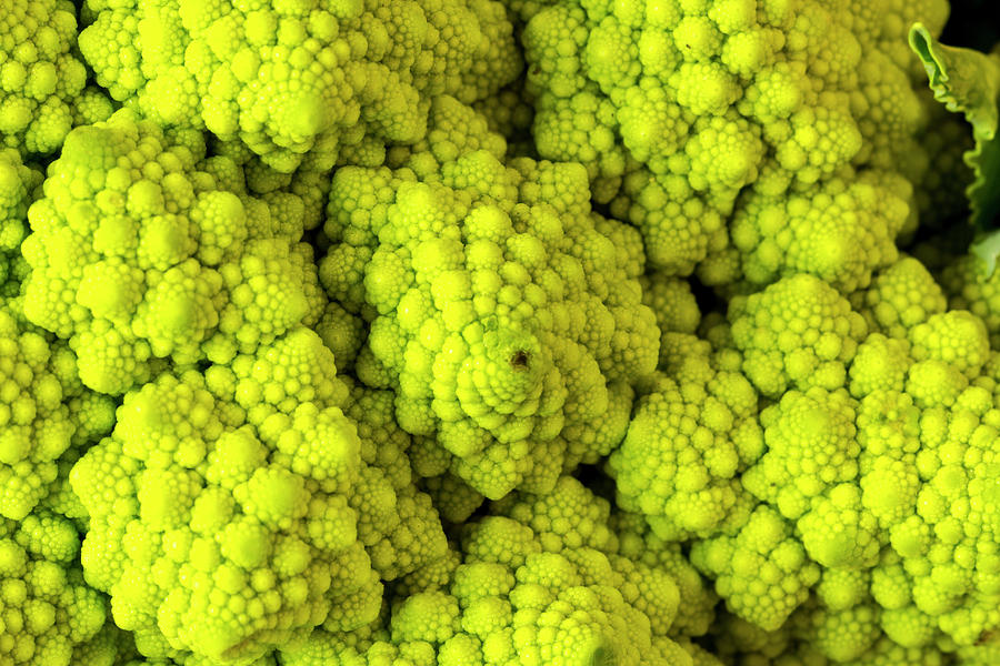Broccoli Romanesco Close Up Photograph by Teri Virbickis