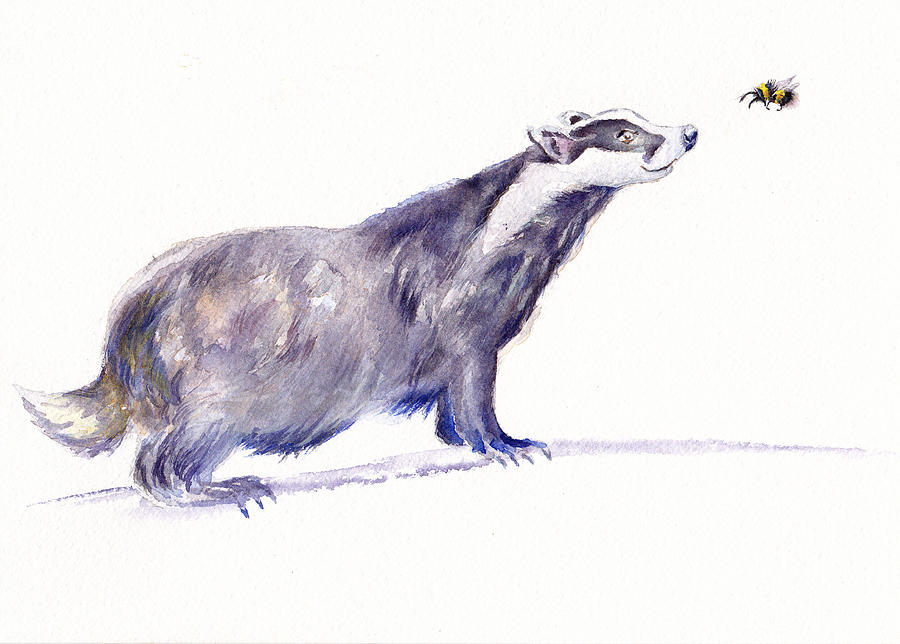 Brock the Badger Painting by Debra Hall
