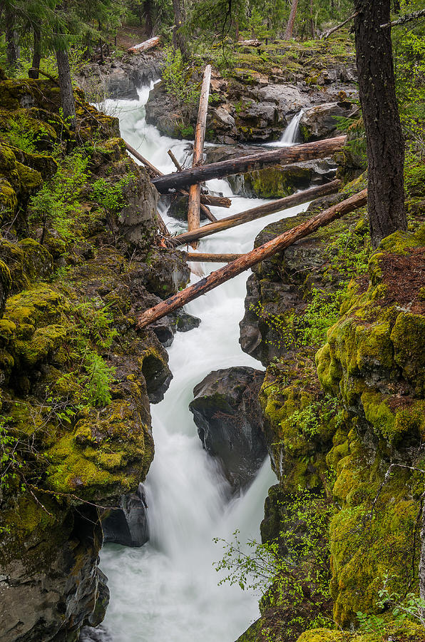 Broiling Rogue Gorge Photograph by Greg Nyquist