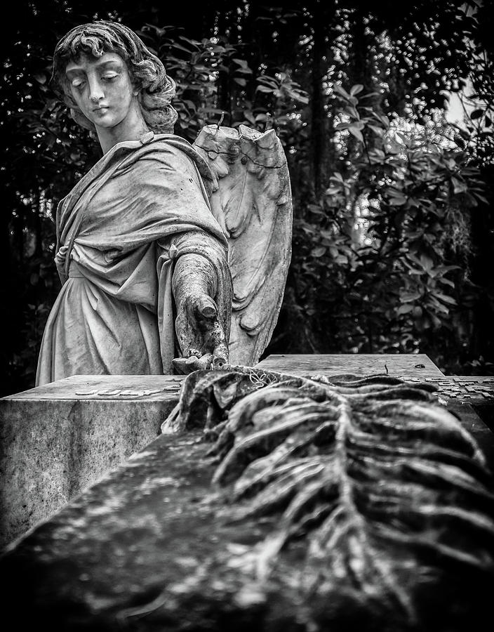 Broken Angel Photograph by Anna Jo Noviello - Fine Art America