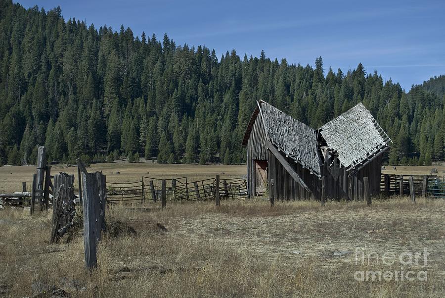 Broken Barn Photograph by Richard Verkuyl