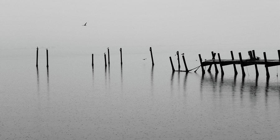 Broken Dock in the Rain Photograph by Frances Miller