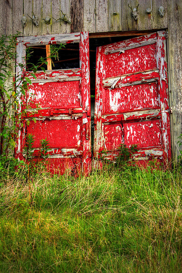 Broken Door Photograph by Ester McGuire