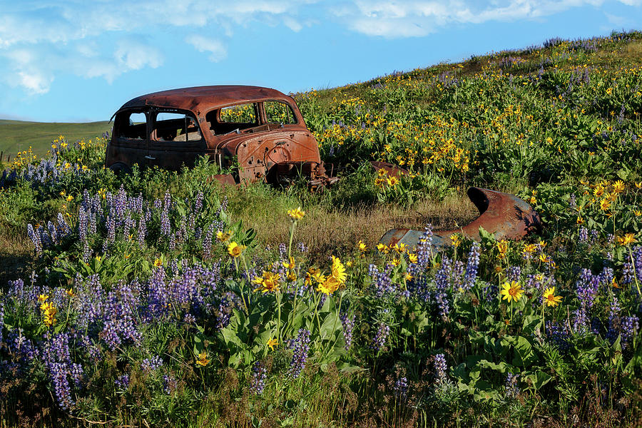 Broken Down In A Field Of Wildflowers Photograph by Wes and Dotty Weber
