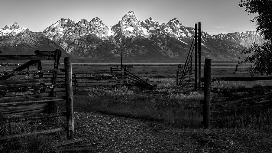 Broken Fences Photograph by C  Renee Martin