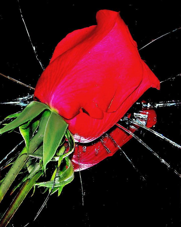 Broken Heart Photograph by Sandy Poore