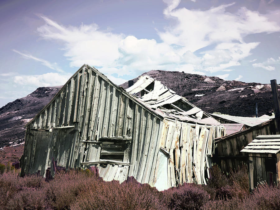 Broken Home Photograph by Alan Socolik