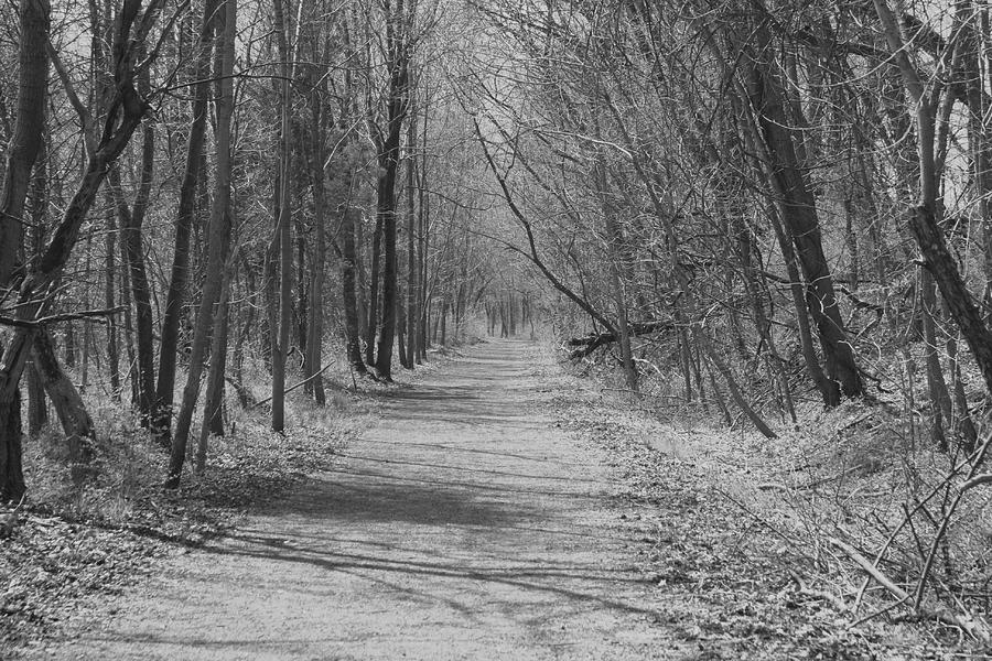 Broken Path Photograph By Monica Smith - Fine Art America