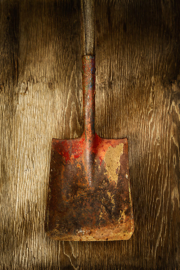 Vintage Photograph - Tools On Wood 2 by YoPedro