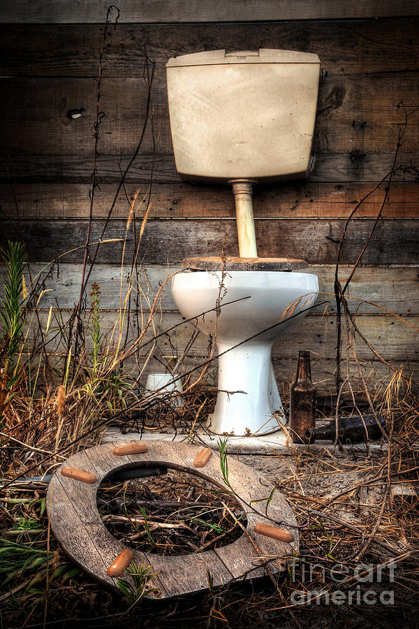 Broken Toilet Photograph by Carlos Caetano