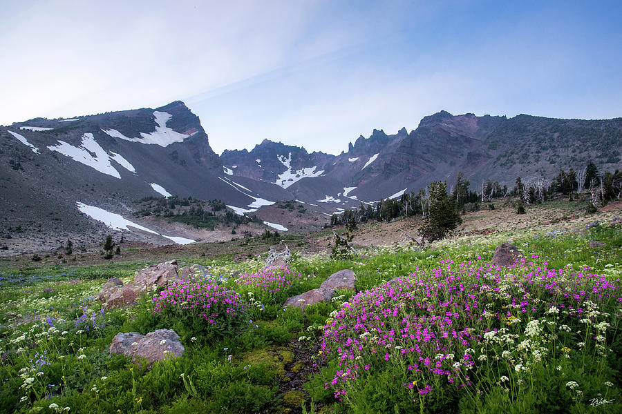 Broken Top Wildflowers Photograph by Russell Wells